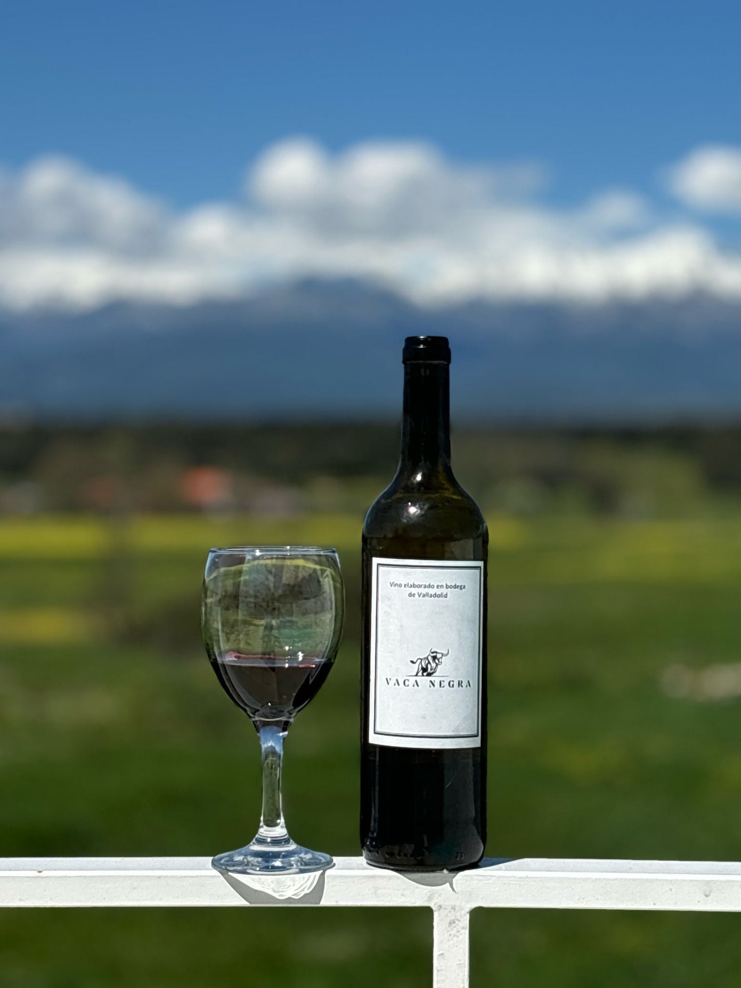 Vino Vaca Negra - Vaca Negra